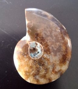 Ammoniet fossiele steen. 33x25,7x8,5 mm. Geen boorgat., Ophalen of Verzenden, Nieuw, Overige typen