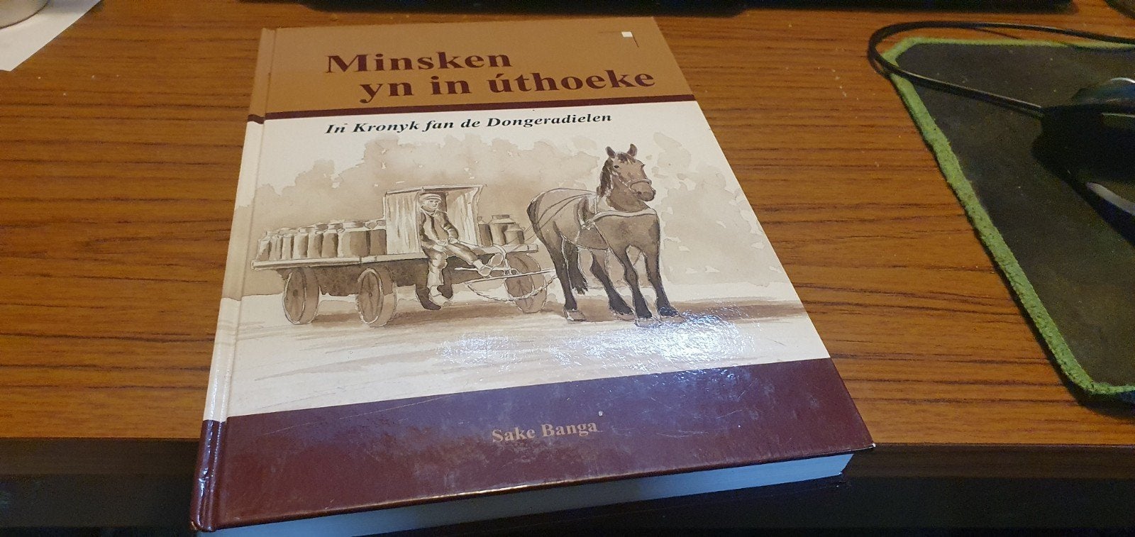 minsken yn in úthoeke Kronyk Dongeradielen - 2006, Ophalen of Verzenden, Zo goed als nieuw, Sake Banga