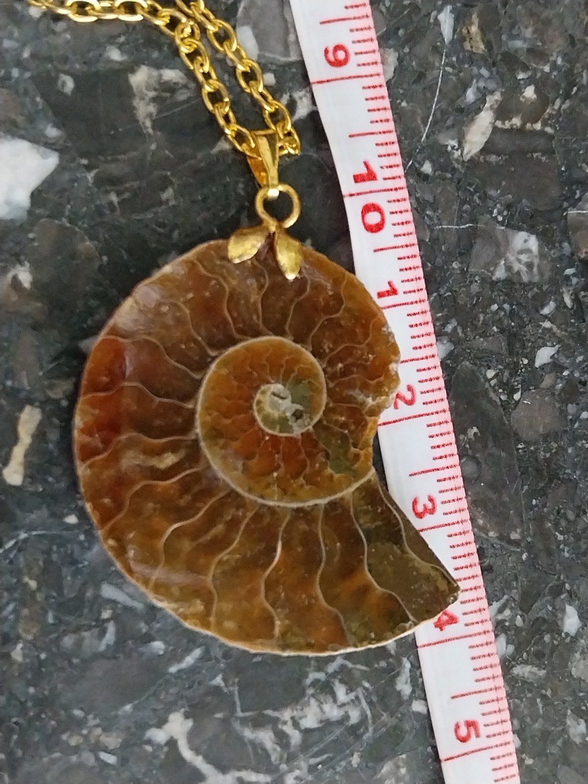 Ammoniet fossiel hanger #7385, Sieraden, Tassen en Uiterlijk, Kettingen, Met hanger, Bruin, Verzenden, Zo goed als nieuw