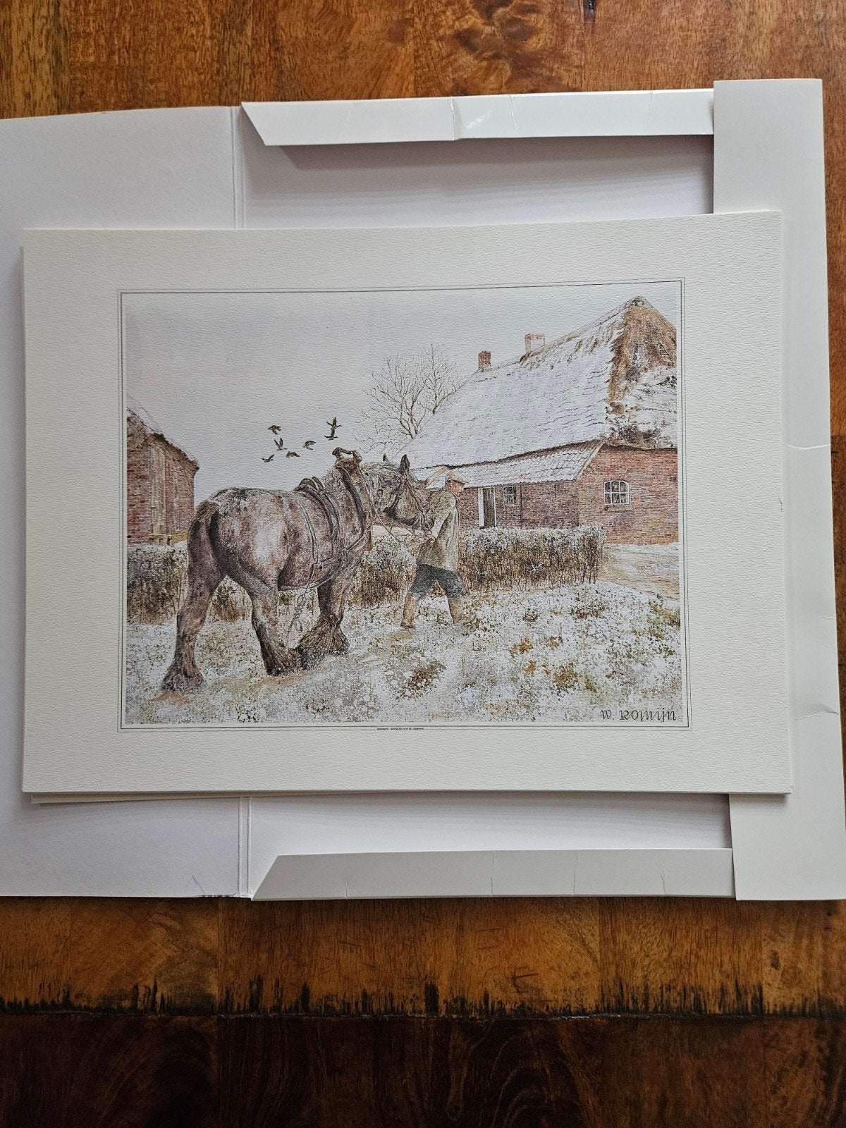 10 aquarellen van wim romijn, Ophalen of Verzenden