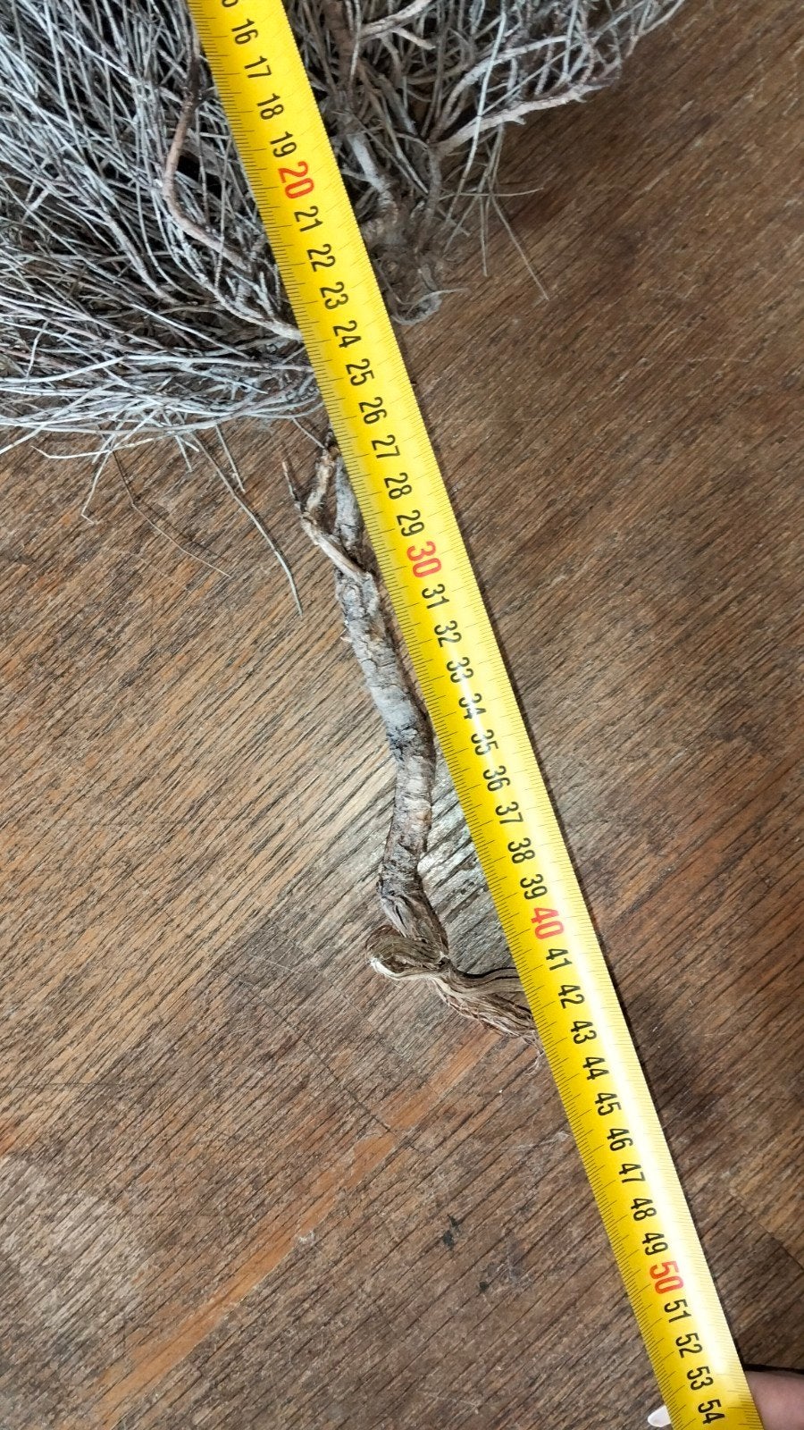 Klein bosje gedroogde takken, Huis en Inrichting, Woonaccessoires | Droogbloemen, Gebruikt, ., Ophalen of Verzenden, .
