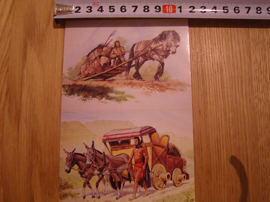 sticker strip set vervoer paard sleep muilezels kar, Ophalen of Verzenden, Zo goed als nieuw