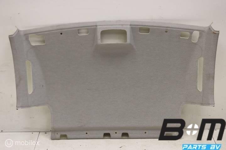 Hemel VW Caddy 2K 2K0867501BE, Gebruikt