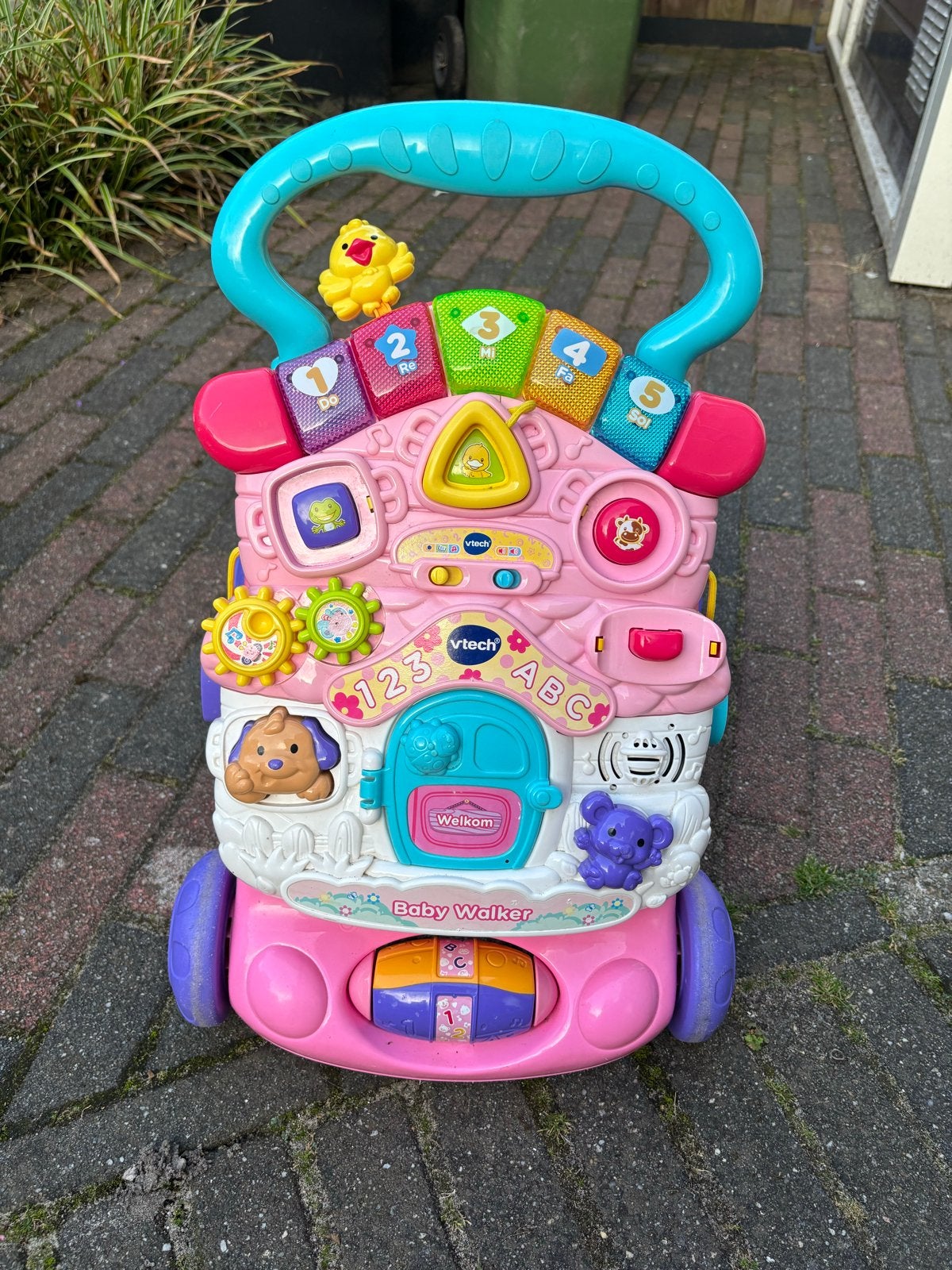 VTech Baby Walker Roze - Interactieve Loopwagen, Ophalen of Verzenden, Gebruikt, Overige typen, Met licht