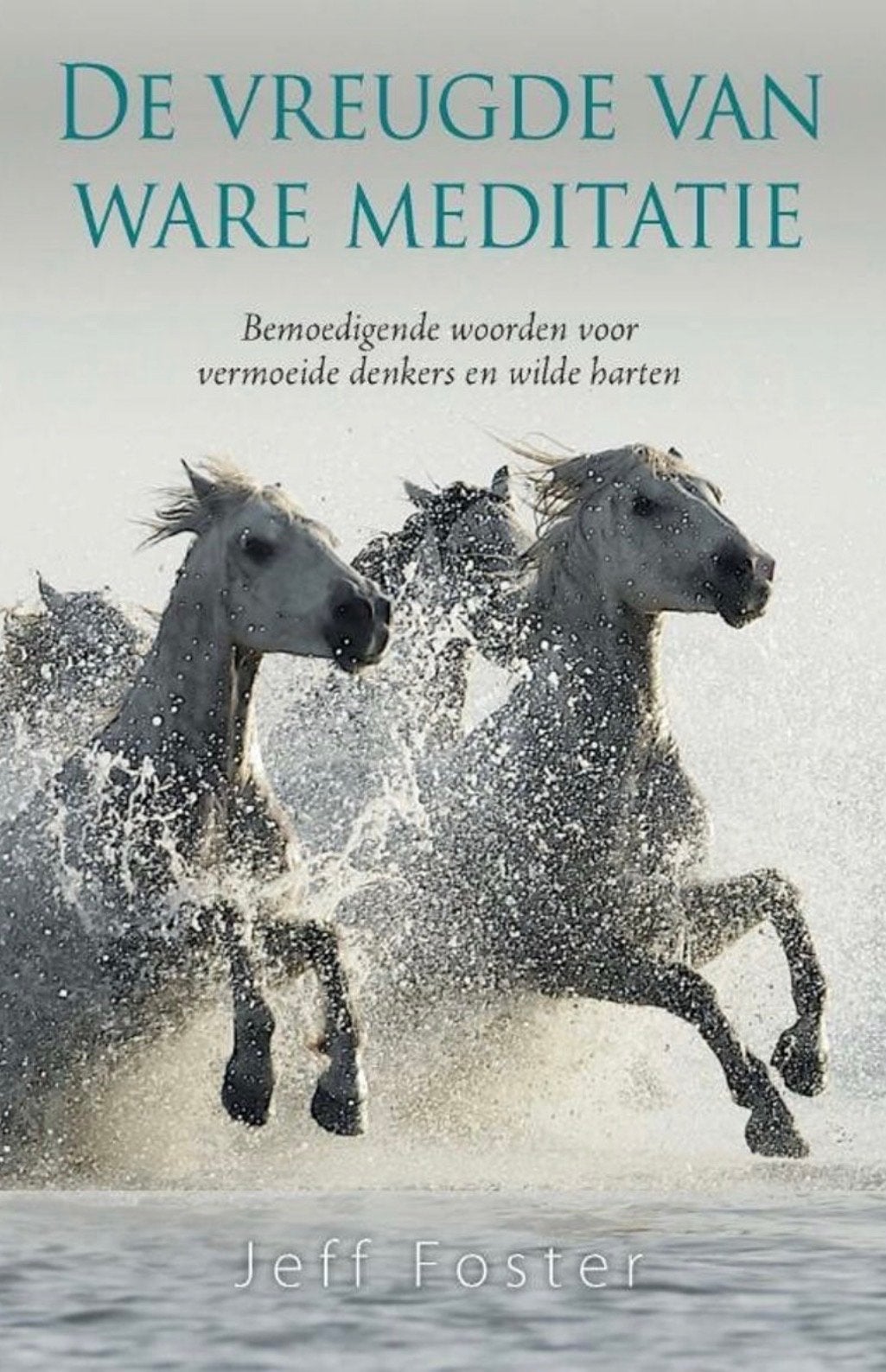 De Vreugde van Ware Meditatie - Jeff Foster - nieuwstaat, Ophalen of Verzenden, Zo goed als nieuw, Meditatie of Yoga, Achtergrond en Informatie