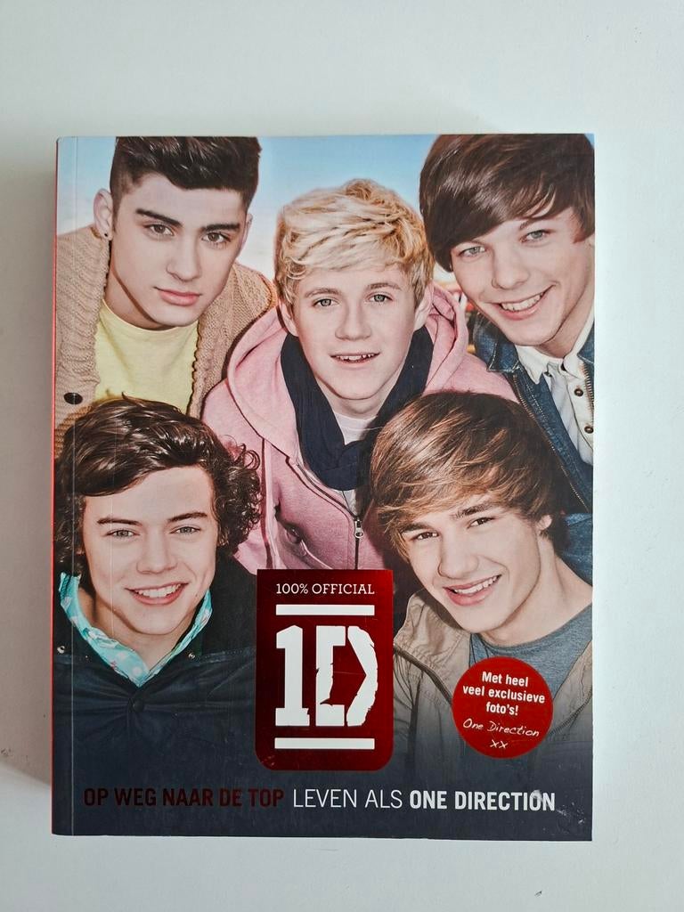 One Direction: Op weg naar de top. Leven als One Direction, Ophalen of Verzenden