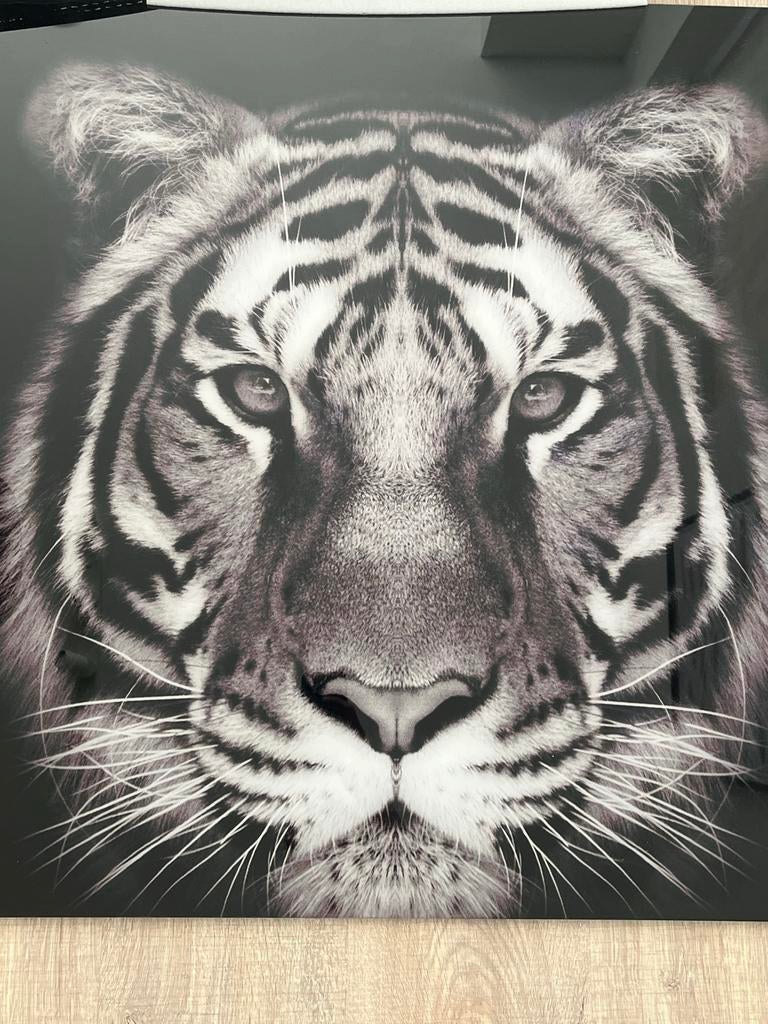 Prachtige Tijger Print op Glas - Zwart-Wit Kunst, Ophalen, Zo goed als nieuw, Print, 50 tot 75 cm