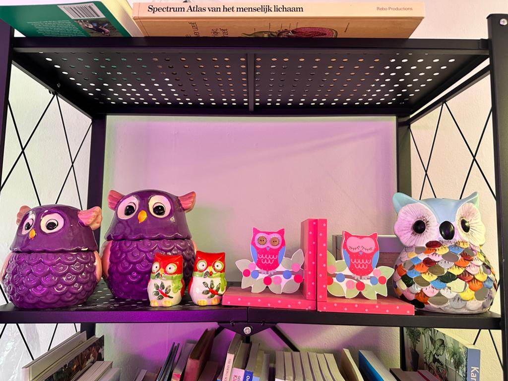 Uilen voorraadpotjes, peper en zoutstel, windlicht en boeken, Ophalen, Gebruikt, Meerkleurig, Steen/keramiek