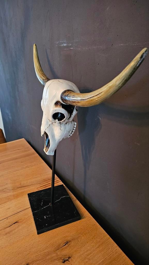Blikvanger! Realistische Longhorn Schedel marmeren voet, Antiek en Kunst, Kunst | Designobjecten, Ophalen