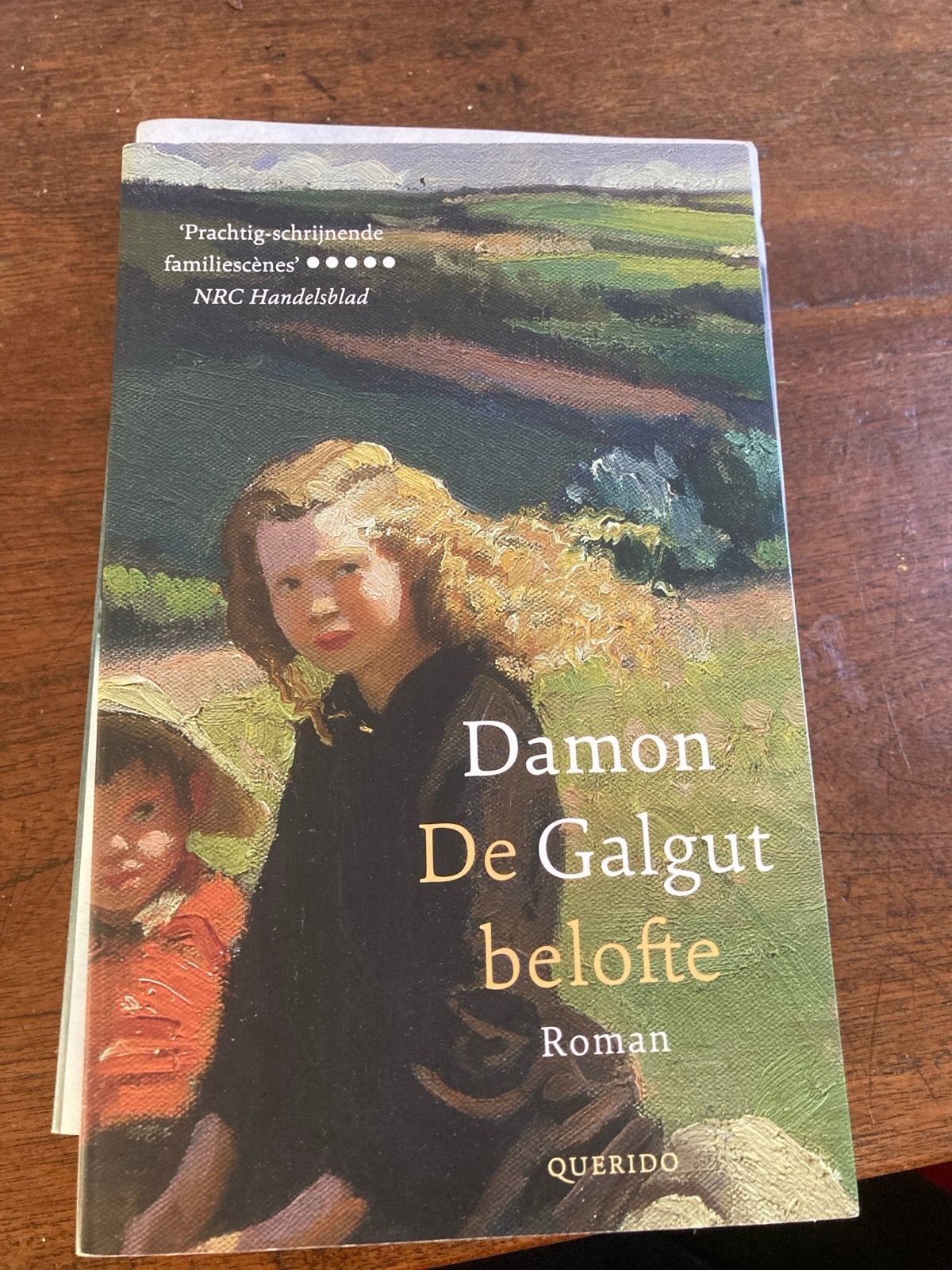 De Belofte - Damon Galgut (Roman), Ophalen of Verzenden, Zo goed als nieuw, Wereld overig