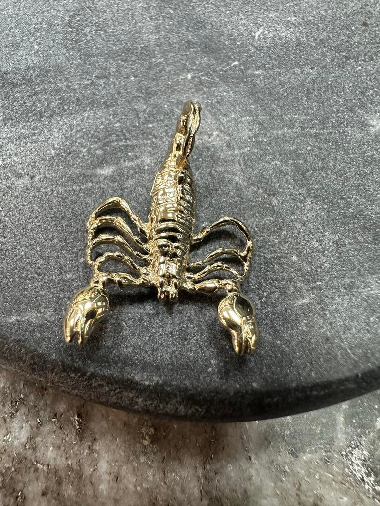 14k Gouden Massieve Schorpioen Hanger - 20.5mm, Ophalen of Verzenden, Gebruikt, Goud, Dier