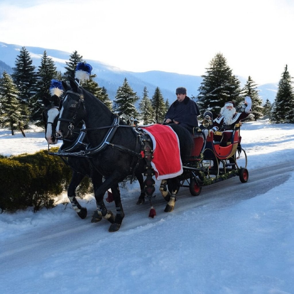 Arreslee, arresledes, slee met paarden, arreslee met paarden, Diversen, Kerst, Ophalen, Zo goed als nieuw