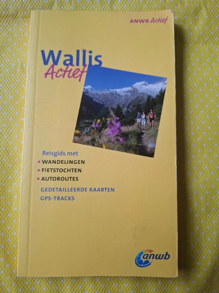 ANWB actief reisgids - Wallis, Fiets- of Wandelgids, Europa, Ophalen of Verzenden, Zo goed als nieuw