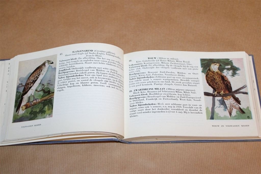 Zien Is Kennen! — Determineerboek Vogels — Vintage [1953], Ophalen of Verzenden, Gelezen, Vogels