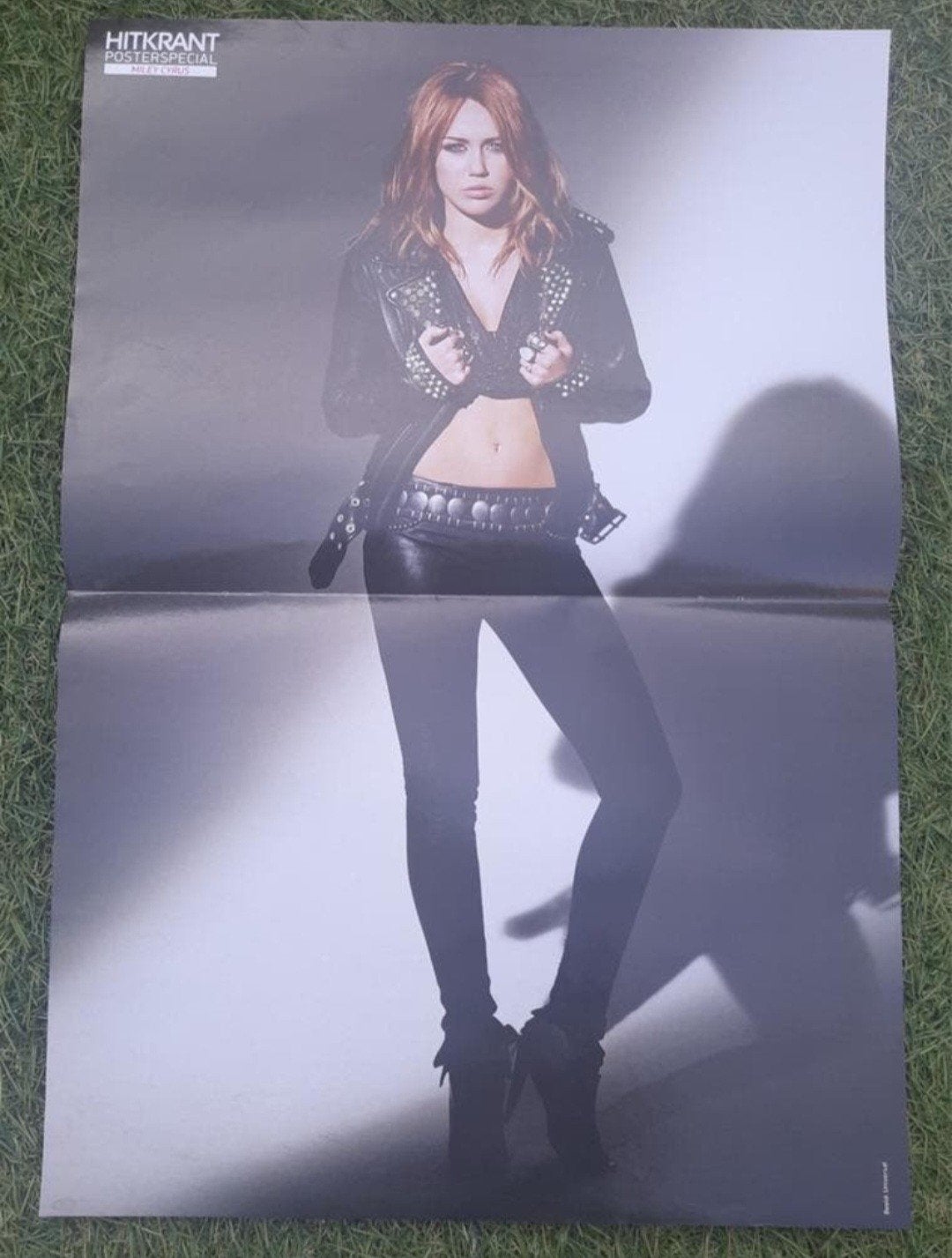 Poster 2x A4 Hitkrant 2010 Miley Cyrus / Timor Steffens, Ophalen of Verzenden, Gebruikt, A1 t/m A3, Muziek