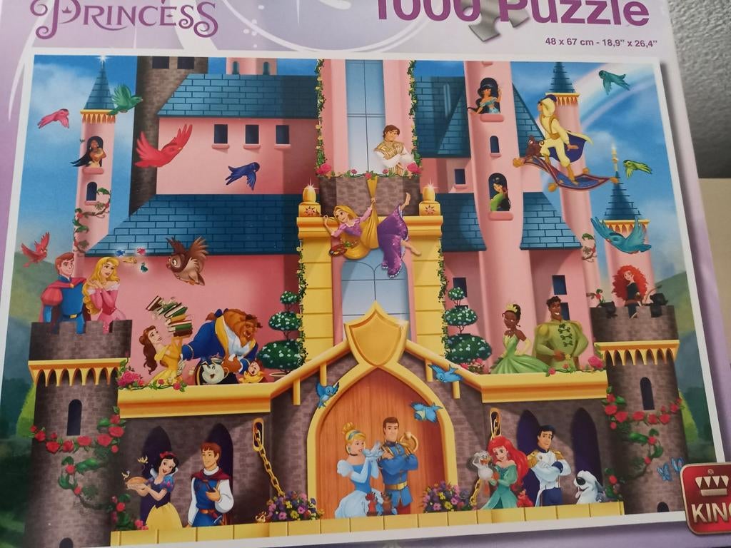 Disney Princess puzzel 1000 stukjes kasteel King, Ophalen of Verzenden