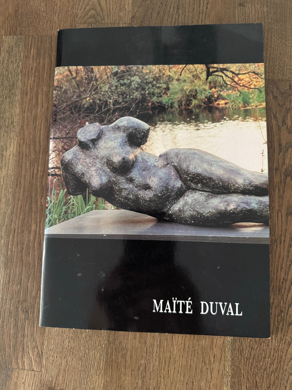 Maïté Duval Kunstboek - Beeldhouwkunst, Ophalen of Verzenden, Zo goed als nieuw, Beeldhouwkunst