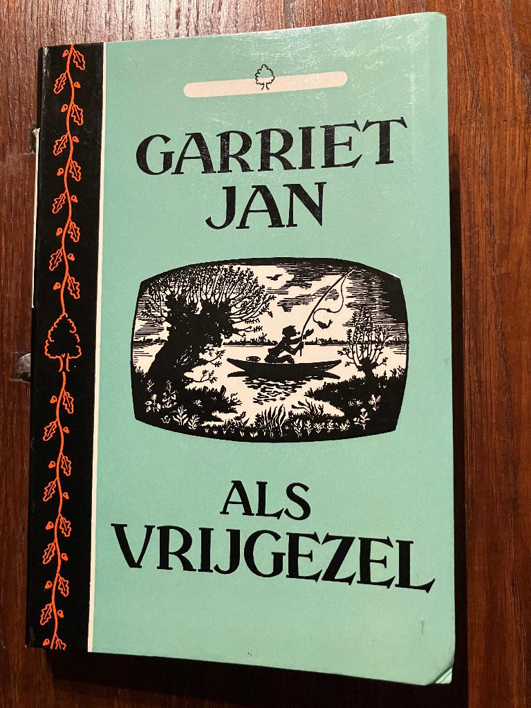 Boek Garriet Jan als vrijgezel, Ophalen of Verzenden, Gelezen, Overijssel
