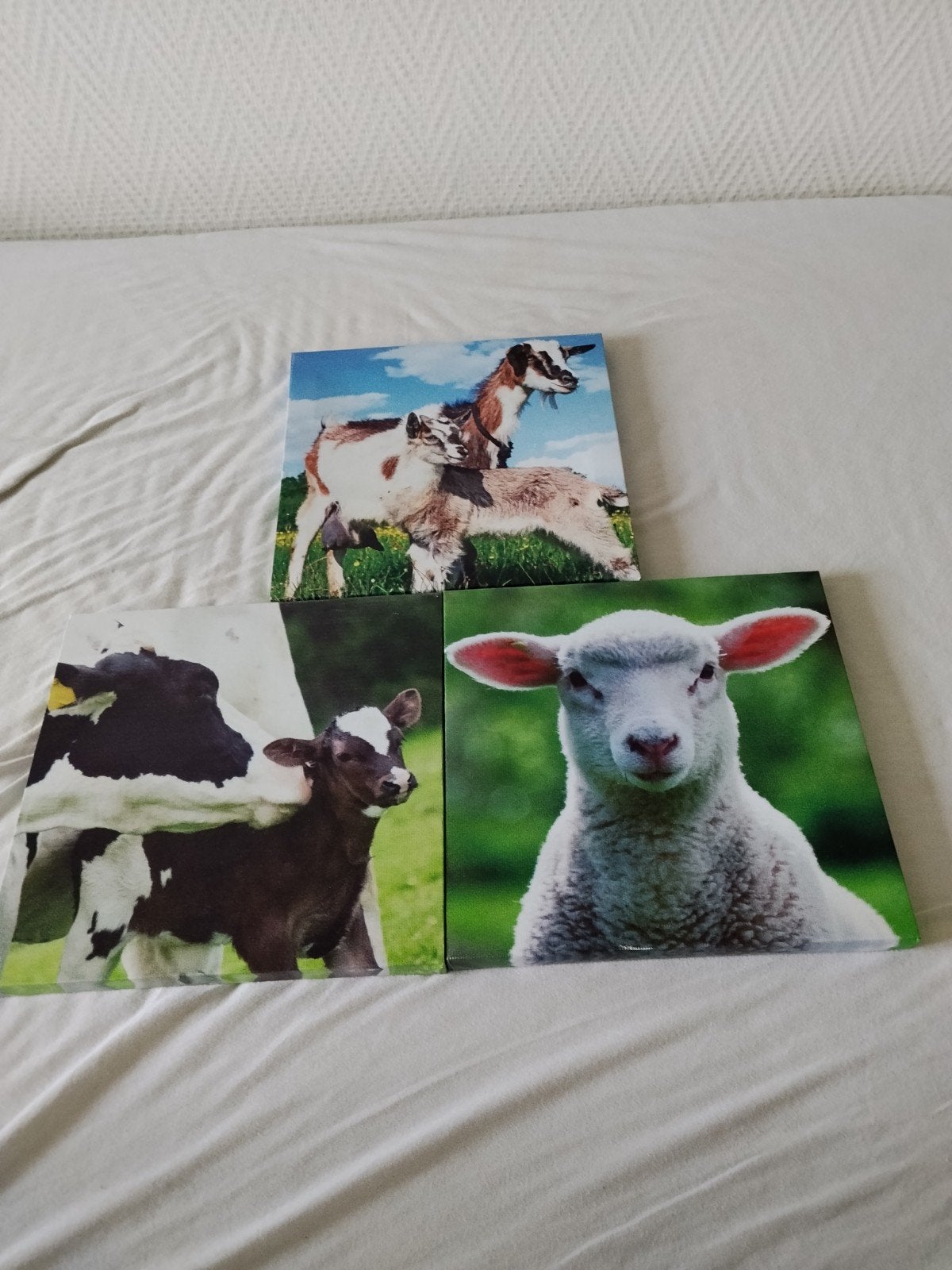 schilderijtjes, Ophalen, Zo goed als nieuw, Minder dan 50 cm, Schilderij