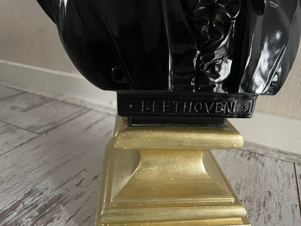 Borstbeeld Beethoven, Verzamelen, Beelden en Beeldjes, Gebruikt, Mens, Ophalen