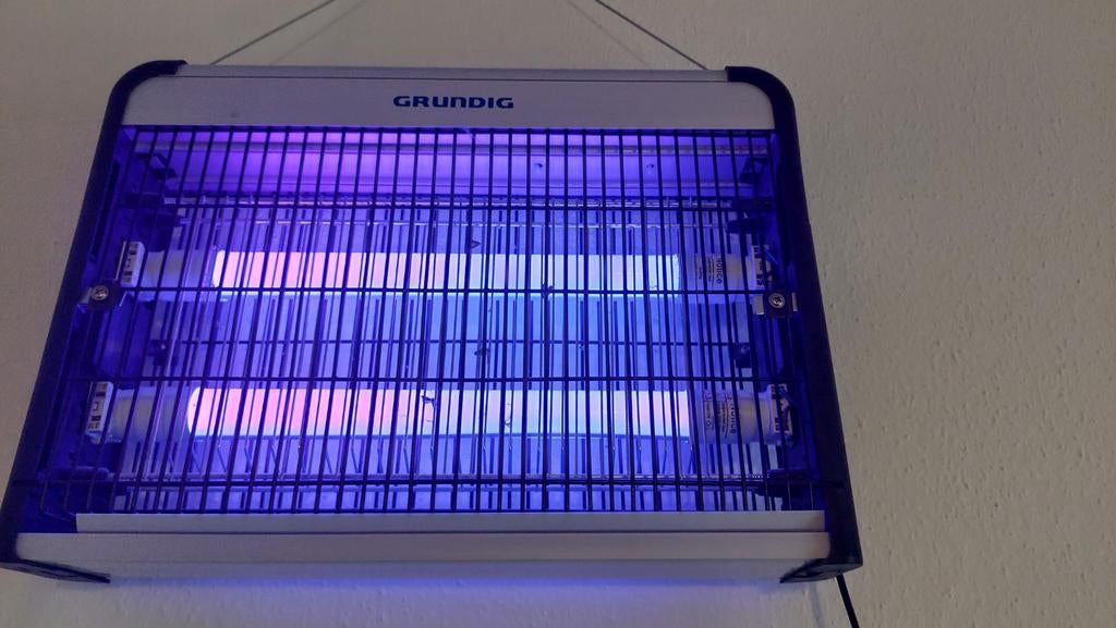 Insecten , muggen lamp, Overige soorten