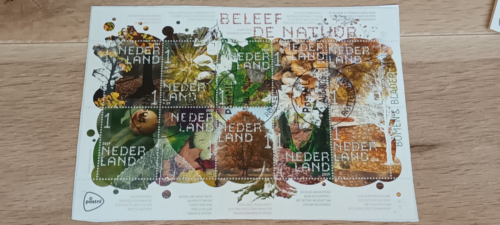 PRACHTIG VELLETJE BELEEF DE NATUUR GESTEMPELD OP PAPIER, Ophalen of Verzenden