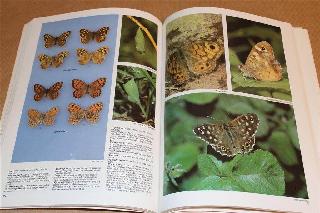 Vlinders van Europa — Fotogids met Meer dan 300 Soorten, Boeken, Dieren en Huisdieren, Ophalen of Verzenden, Gelezen, Overige diersoorten