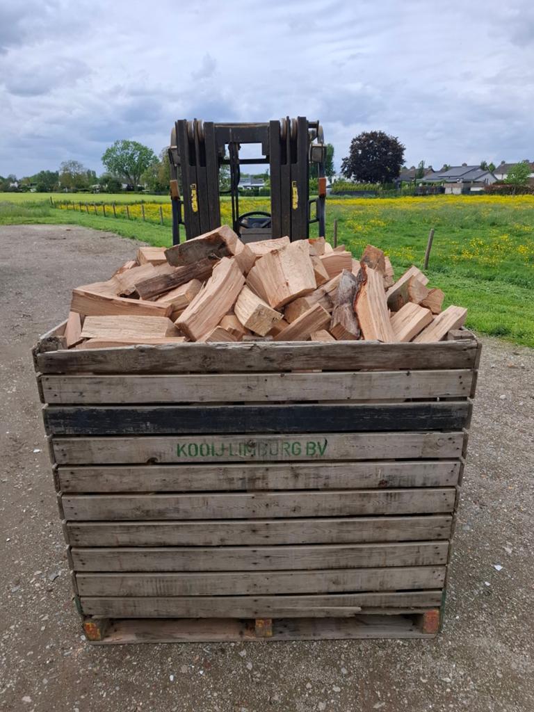 Vers Brandhout/Kachelhout/Haardhout/Stookhout, 6 m³ of meer, Ophalen of Verzenden, Beukenhout, Blokken