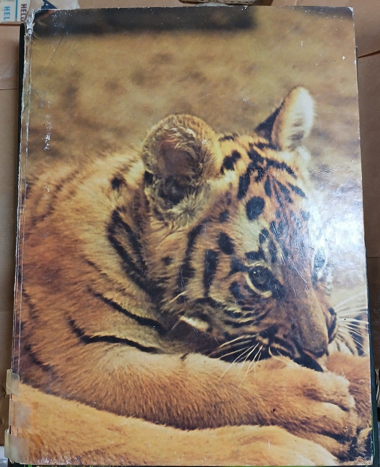 Ouwehands Dierenpark: 'n Dierenpark in Vogelvlucht, Boeken, Ophalen of Verzenden