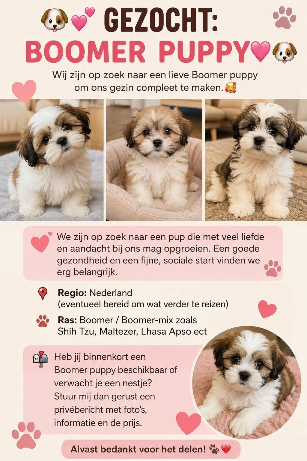 gezocht !!, Ophalen, Honden