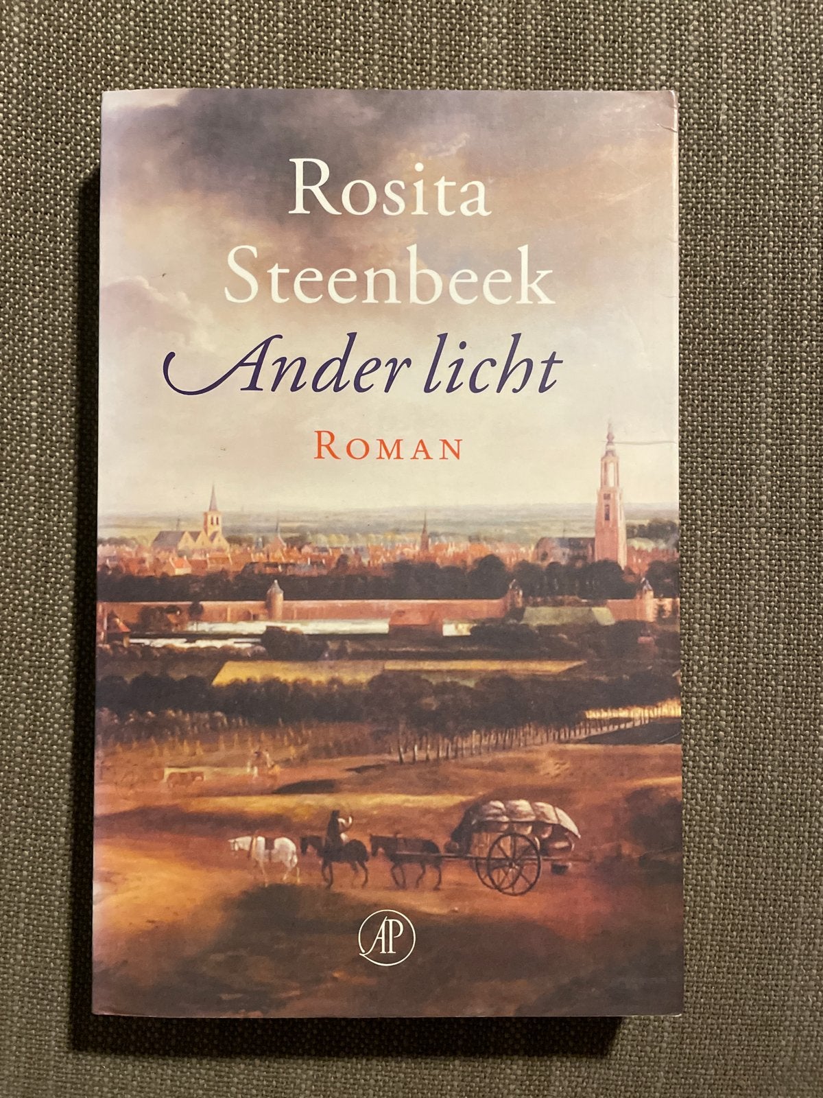 Rosita Steenbeek - Ander licht, Boeken, Ophalen of Verzenden, Zo goed als nieuw, Rosita Steenbeek