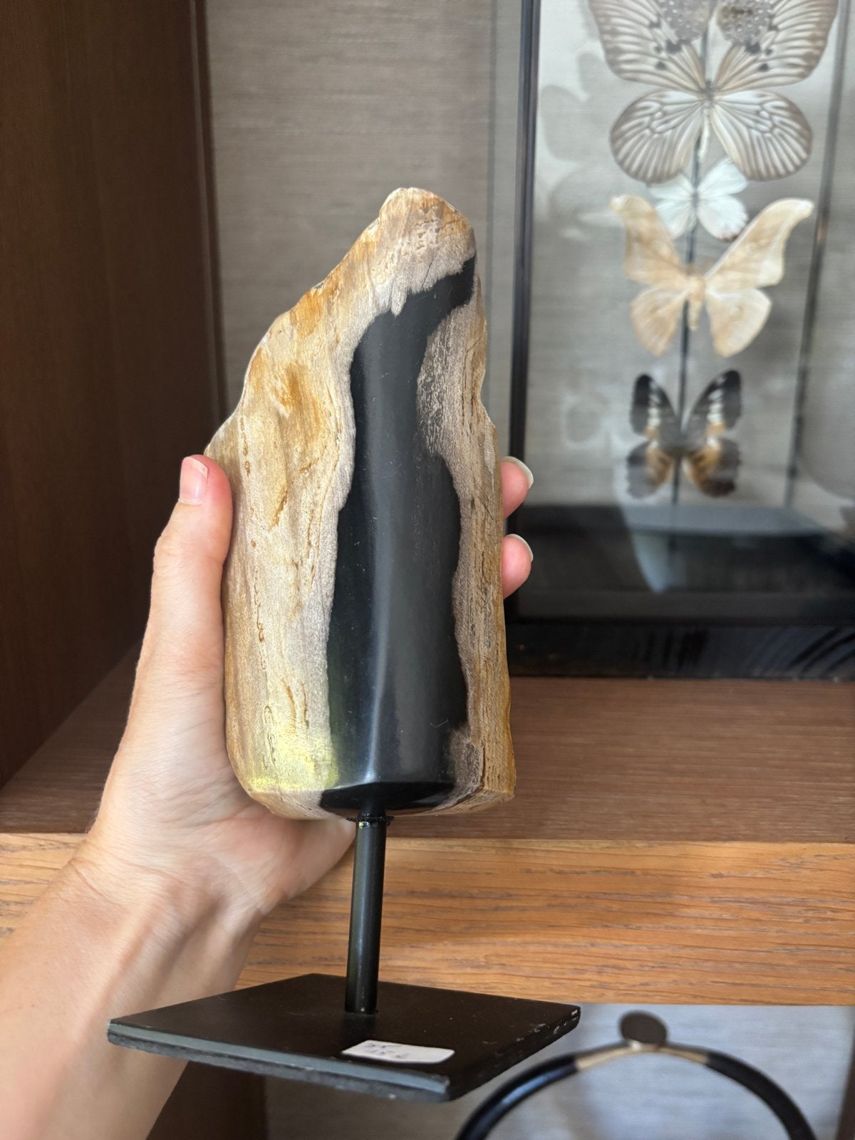 Decoratief versteend hout op standaard, Meerkleurig, Ophalen of Verzenden, Zo goed als nieuw, Natuurlijk materiaal