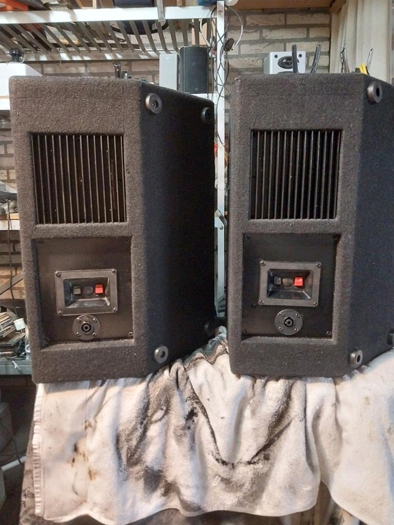 Set zeer goed klinkene 12 inch speakers, Audio, Tv en Foto, Luidsprekers, Overige merken, Ophalen of Verzenden, Zo goed als nieuw