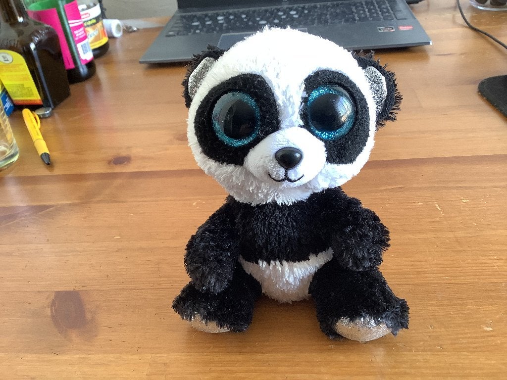 TY knuffel beanie boo Bamboo Panda. 2019, Gebruikt, Overige typen, Zwart, Ophalen of Verzenden