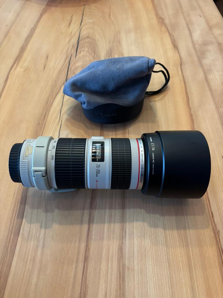 Canon 70-200mm F4 EF, Audio, Tv en Foto, Fotografie | Lenzen en Objectieven, Ophalen, Zo goed als nieuw, Telelens, Zoom