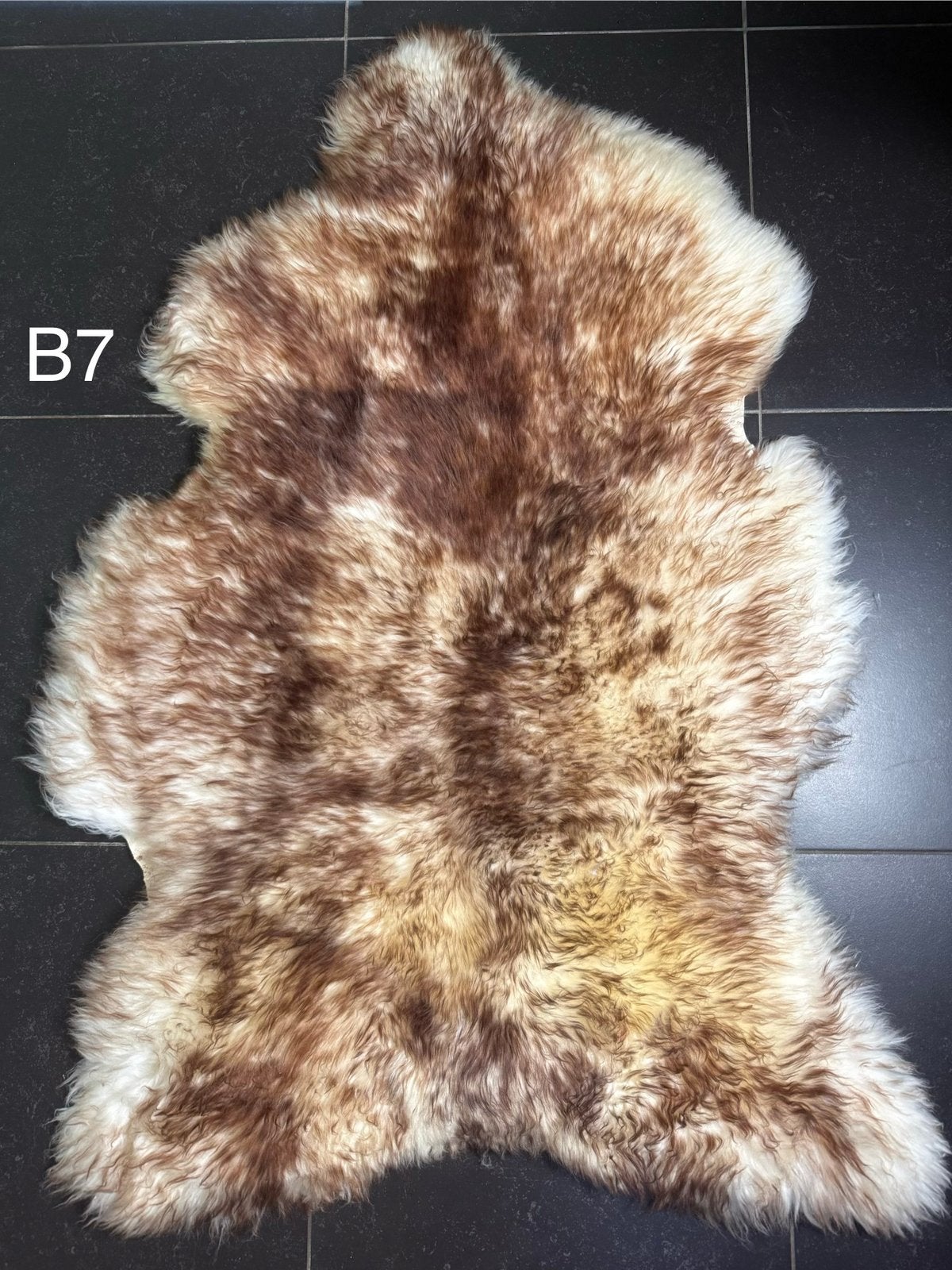 B7) XXXL Bruin-Witte Schapenvacht 143x93 cm Mouflon, 143 cm, Wol, Ophalen of Verzenden, Bruin