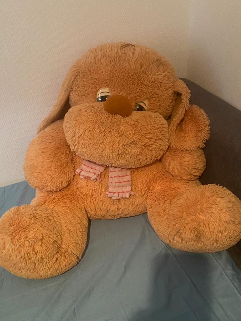 Grote knuffel, Kinderen en Baby's, Speelgoed | Knuffels en Pluche, Overige karakters, Zo goed als nieuw, Wasbaar, Bruin