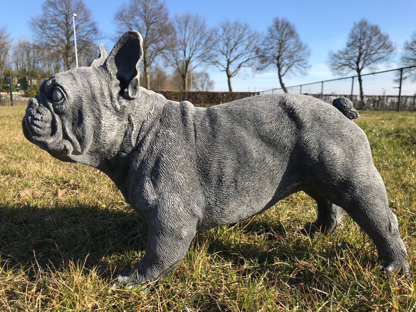 ‼️Franse Bully 17-20 kg Mopshond Bulldog Pug mollige hond ‼️, Ophalen of Verzenden, Nieuw, Beton, Dierenbeeld