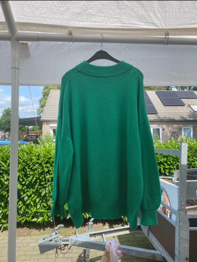 Leuke trui maat 46, Ophalen of Verzenden, Zo goed als nieuw, Trui of Vest