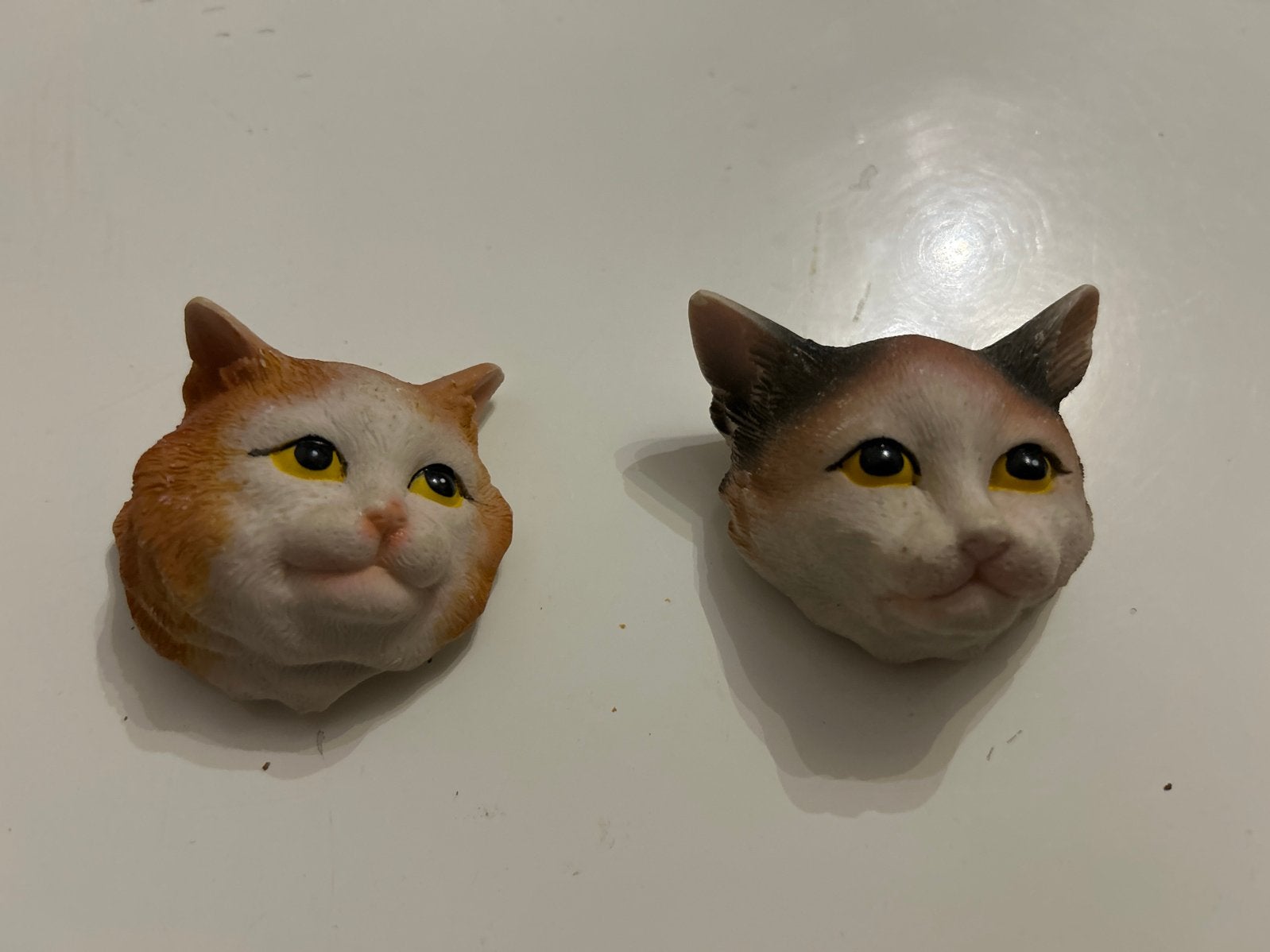 Mooie katten hoofden magneten., Ophalen of Verzenden