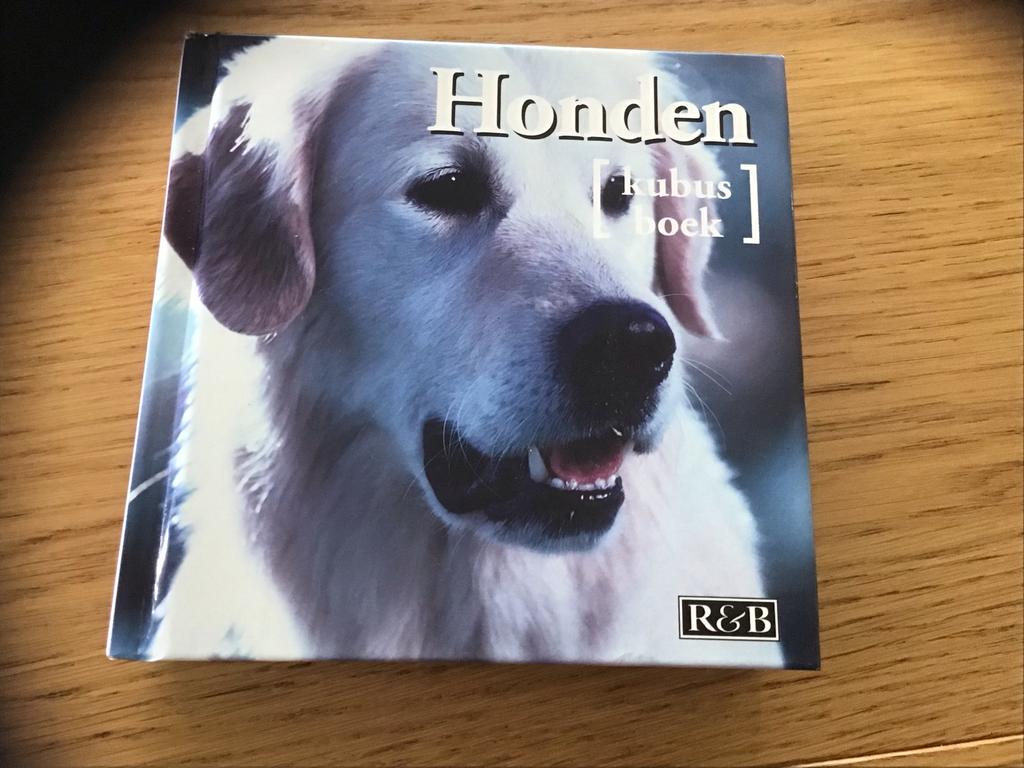 Honden Kubusboek - R&B, Ophalen, Zo goed als nieuw, Honden