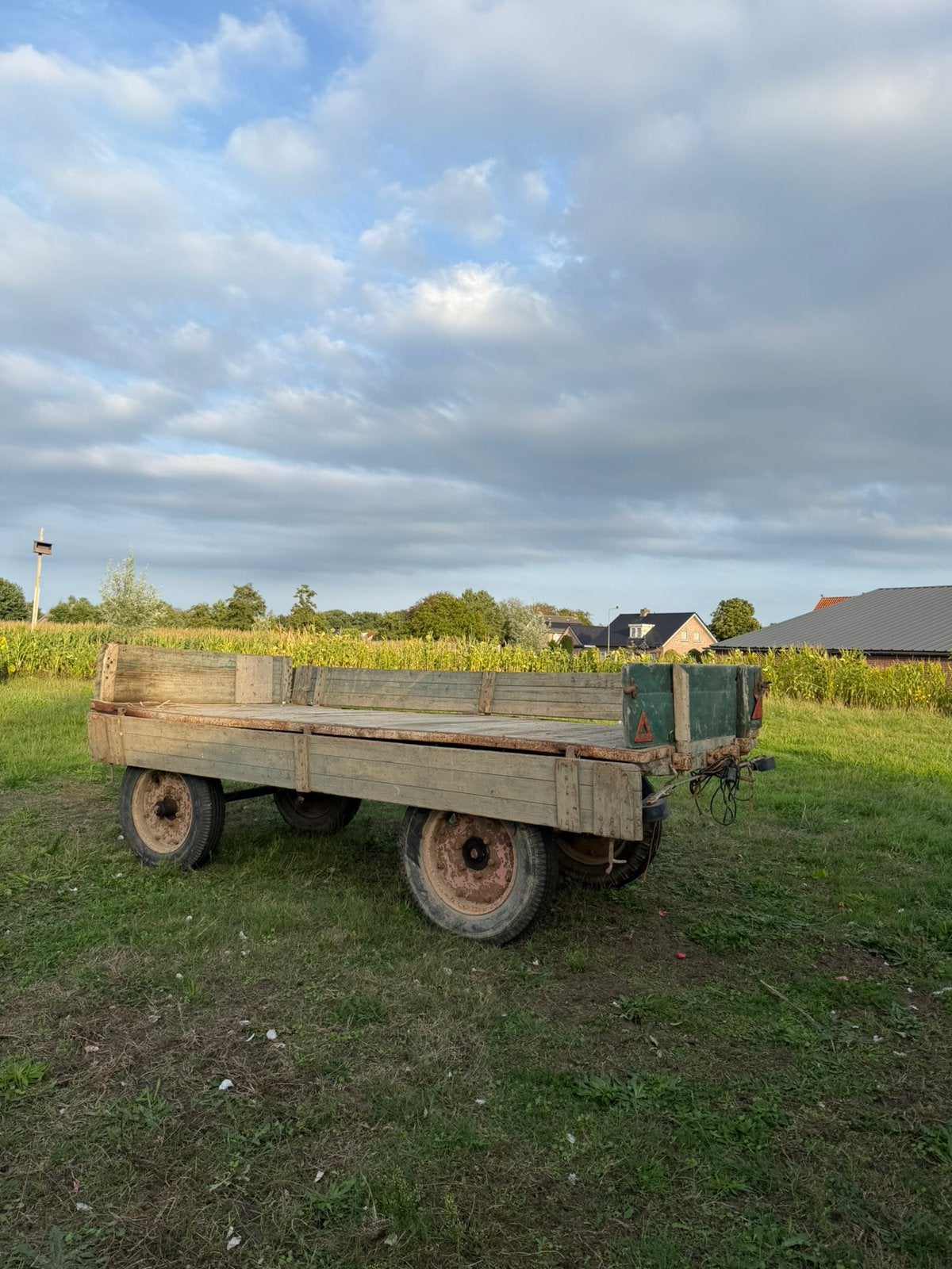 Vintage hooiwagen, 100 liter of meer, Ophalen, Zo goed als nieuw, Transportkar