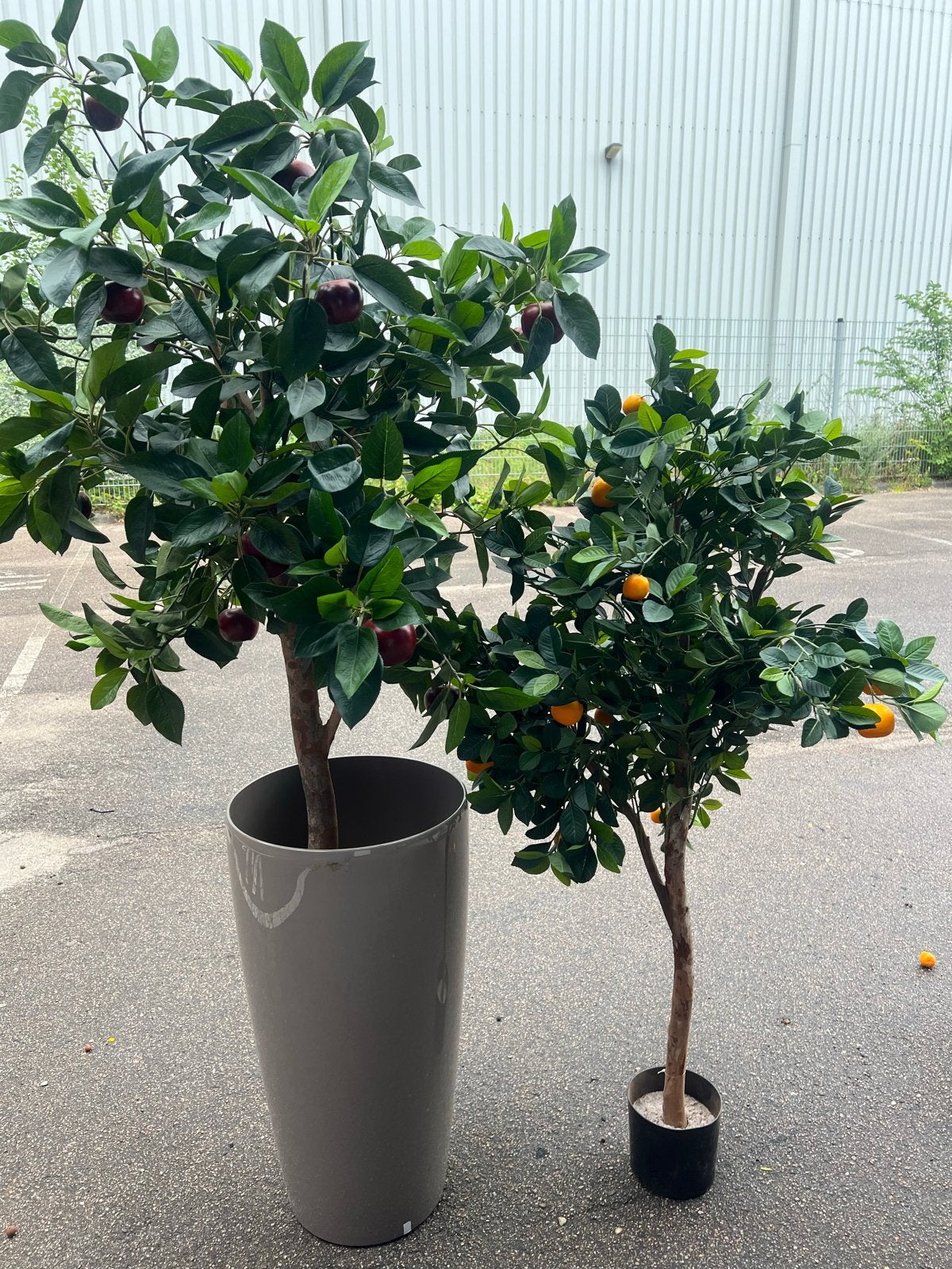 Kunst sinaasappel- en appelboom, 1.40m en 1.80m hoog, Ophalen, Binnen, Kunstplant, Zo goed als nieuw
