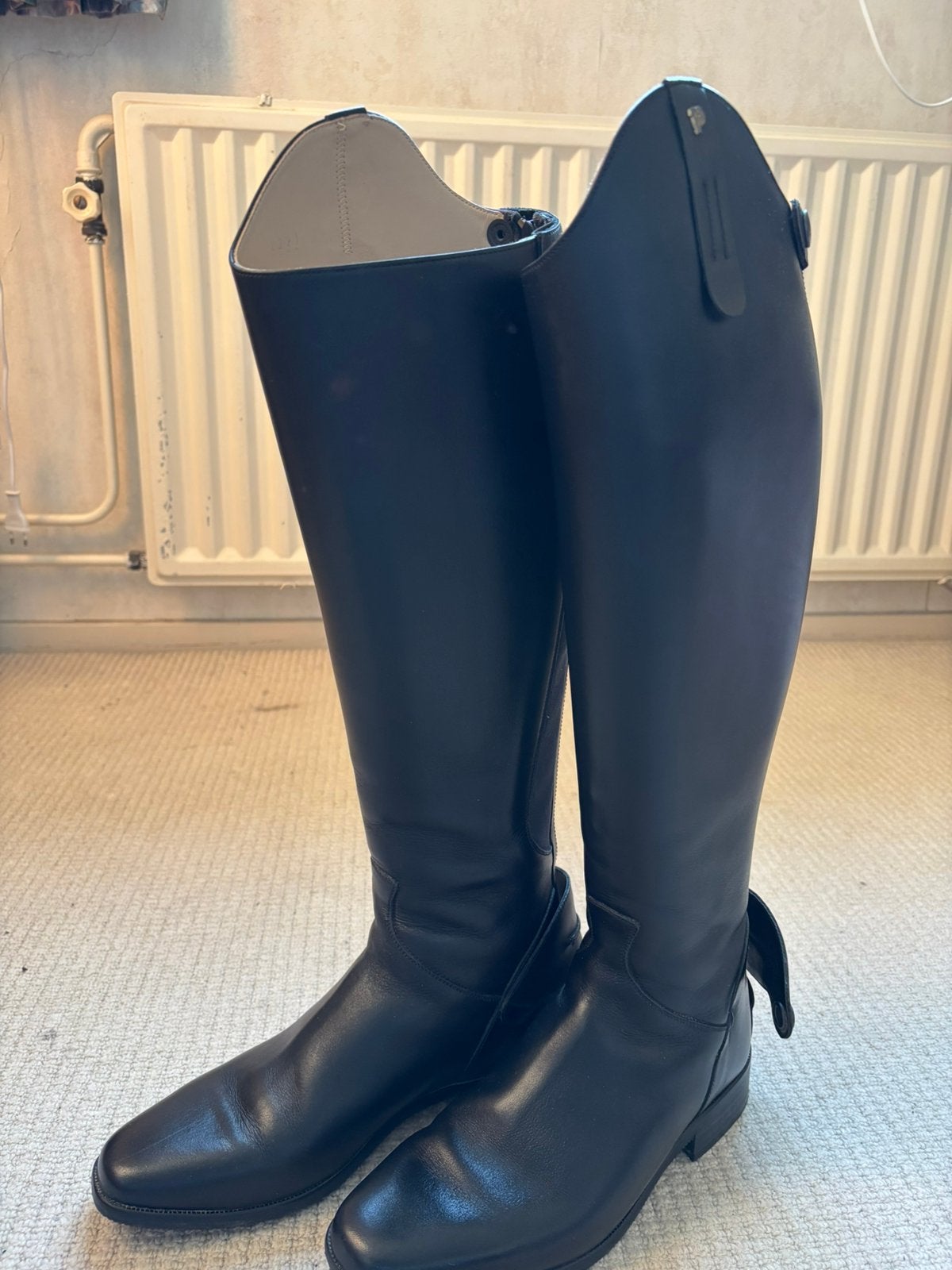 Petrie Leeds, Ophalen, Zo goed als nieuw, Dressuur, Schoeisel