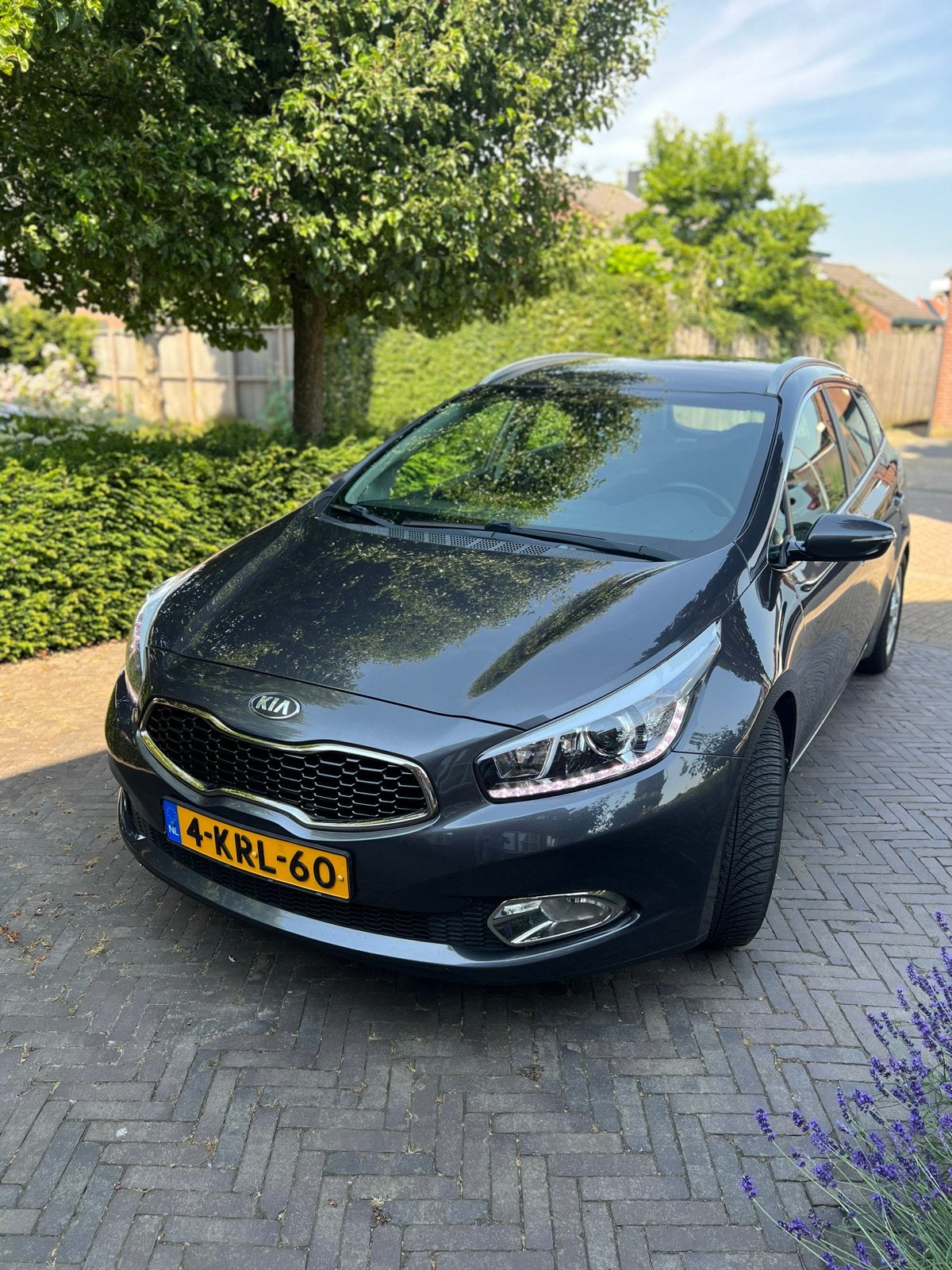 Kia (Pro)Ceed 1.6 GDI SW 2013 Grijs Business Veel opties!, Voorwielaandrijving, 1591 cc, 4 cilinders, Leder en Stof
