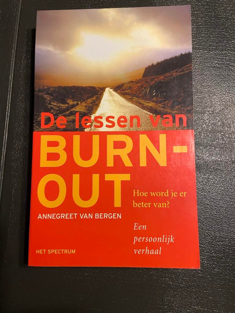 De lessen van BURN-OUT - AnneGreet van Bergen, Ophalen of Verzenden, Zo goed als nieuw