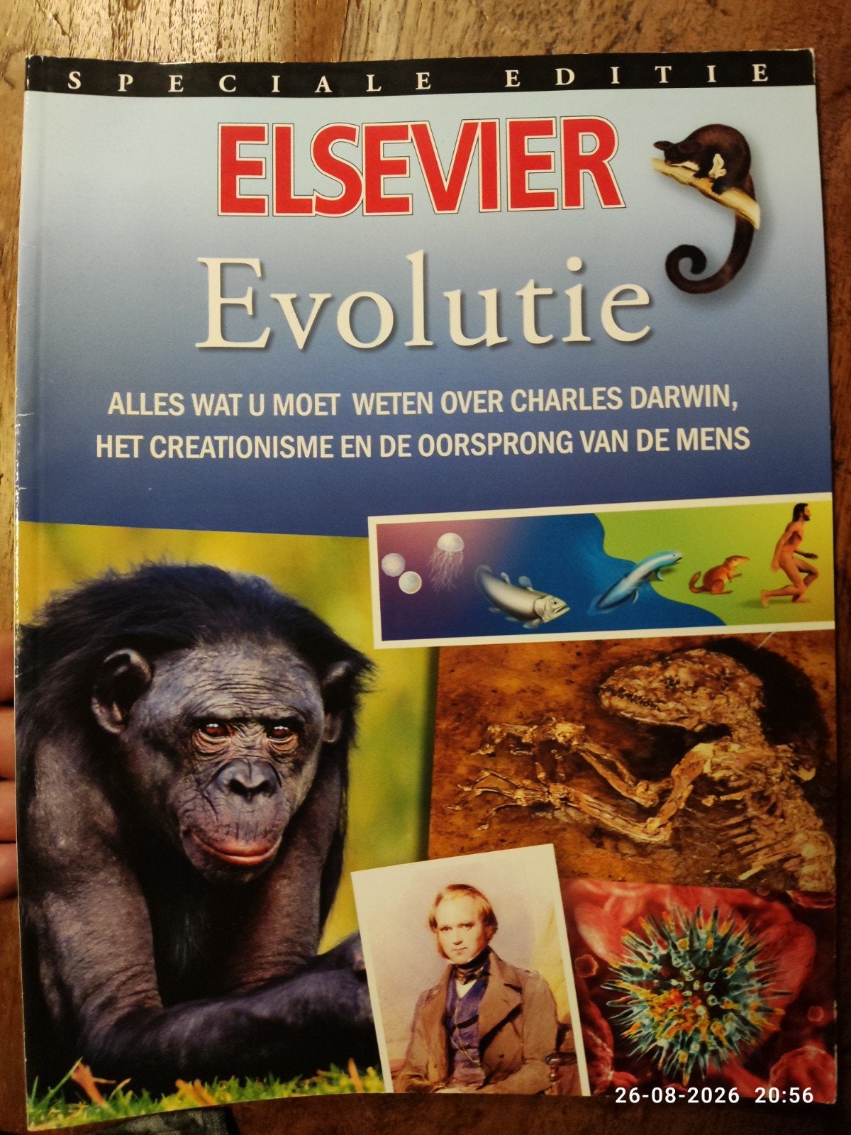 Evolutie, Boeken, Ophalen of Verzenden, Wetenschap en Natuur