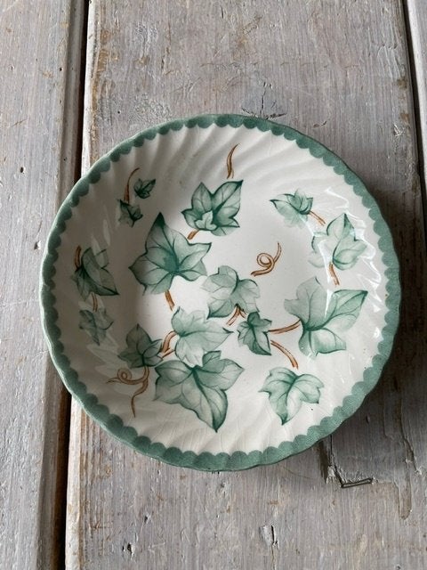 Klein schaaltje Barratts England Country Vine. Klimop motief, Ophalen