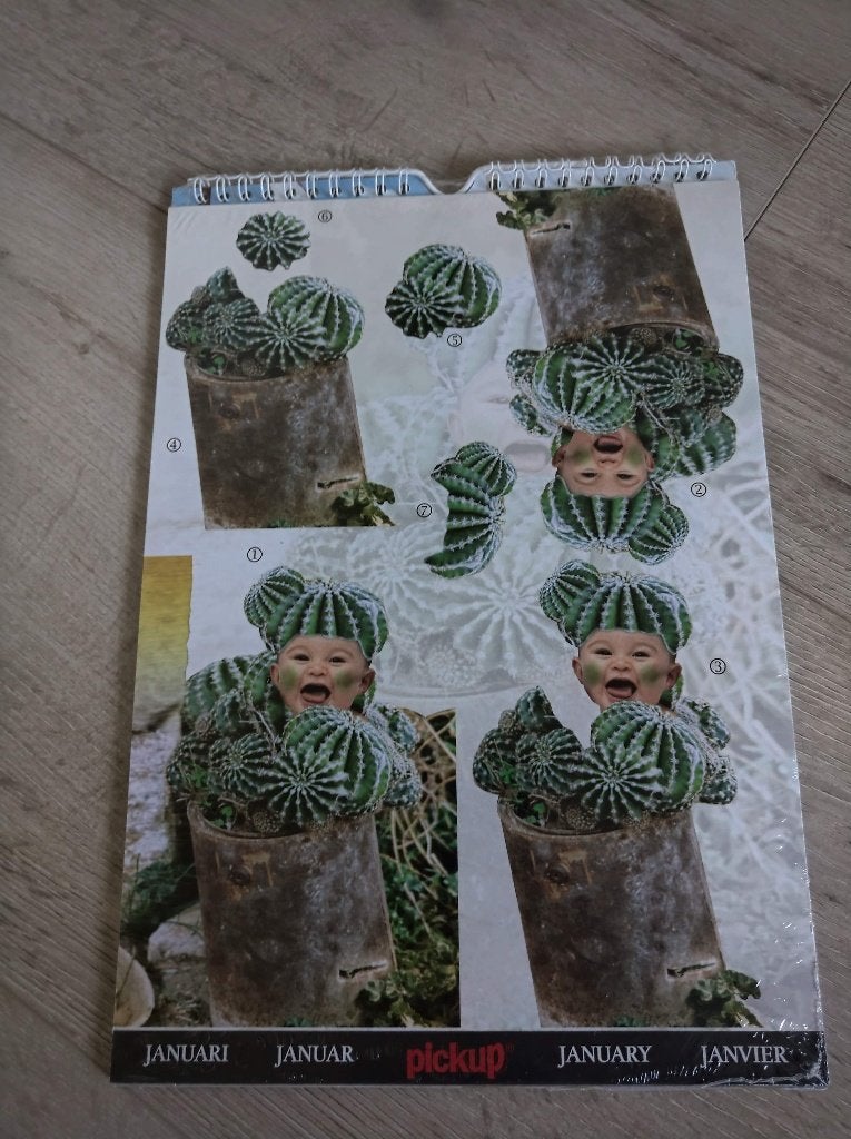 Anne Geddes, 3d kalender zelf maken, knutselen, baby's, Ophalen of Verzenden, Nieuw, Knutselwerk