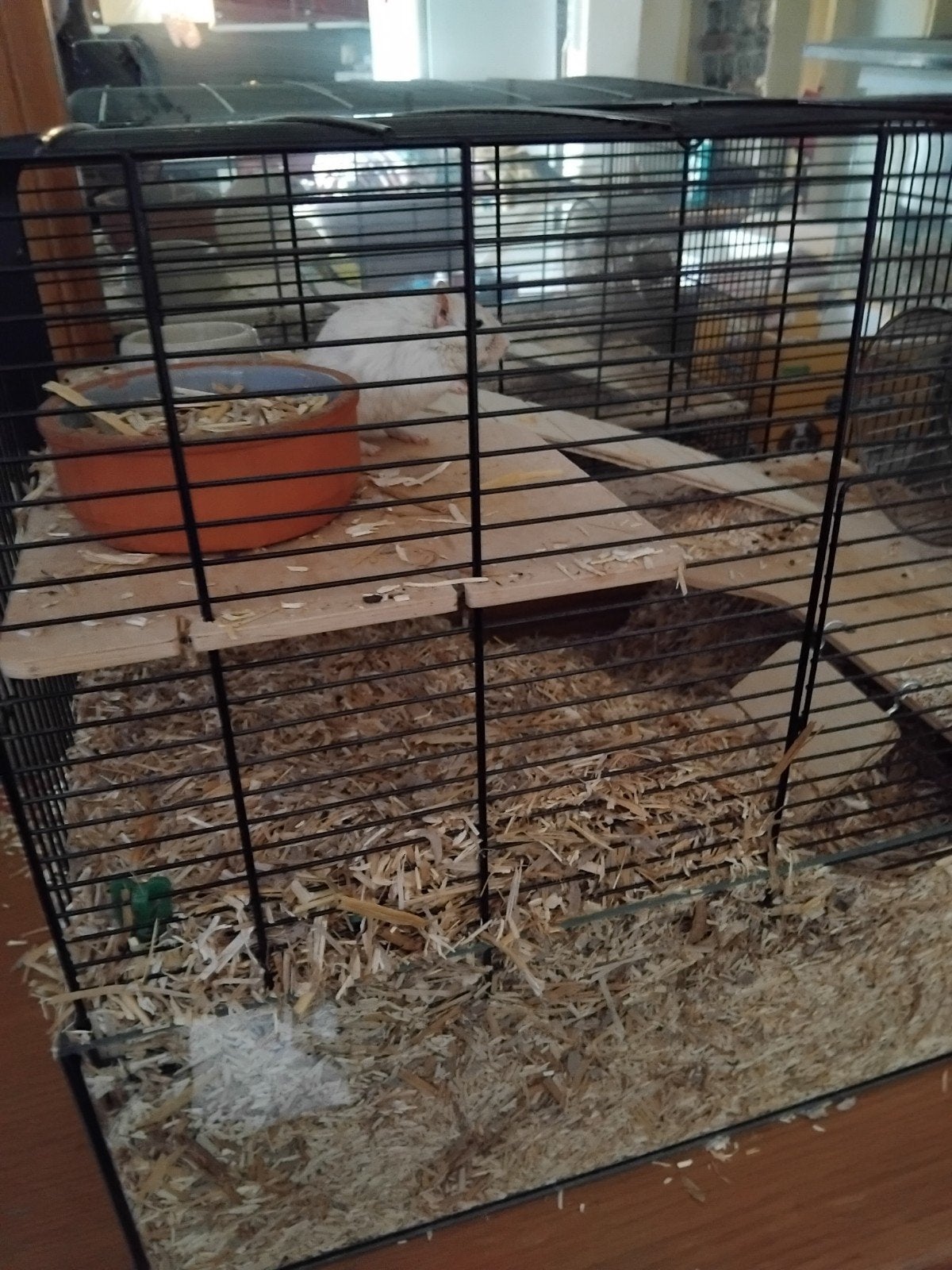 gerbils, Dieren en Toebehoren, Ophalen, 110 cm of meer, Hok, Minder dan 60 cm